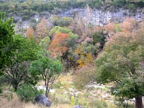 mapletrail_500x375.jpg