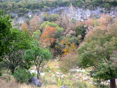mapletrail_500x375.jpg