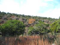 sabinalriver_200x150.jpg