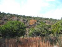 sabinalriver_200x150.jpg