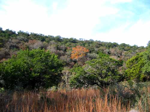 sabinalriver_500x375.jpg