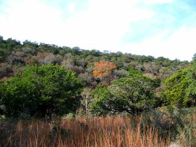 sabinalriver_500x375.jpg