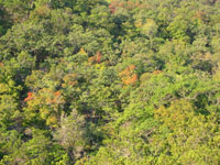 east_trail2_200x150.jpg