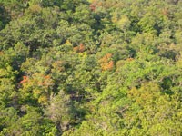 east_trail2_200x150.jpg