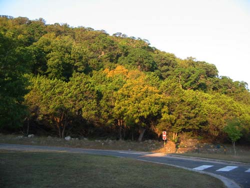 hq_500x375.jpg