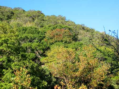 cancreek_01_500x375.jpg