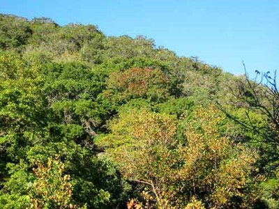 cancreek_01_500x375.jpg