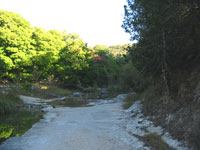 cancreek_03_200x150.jpg