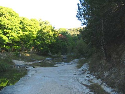 cancreek_03_500x375.jpg