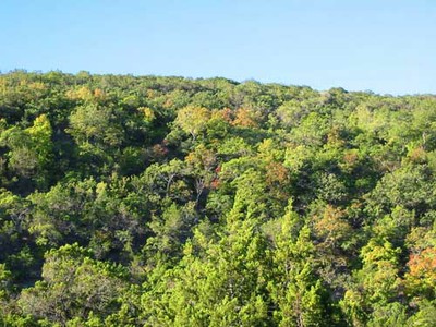 easttrail_02_500x375.jpg