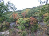 cancreek_200x150.jpg