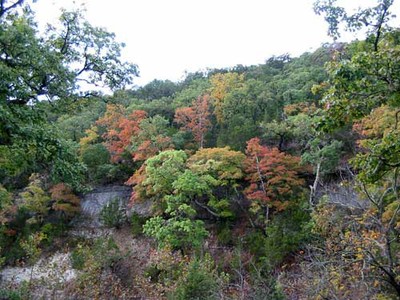 cancreek_500x375.jpg