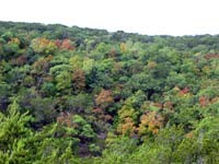 easttrail_200x150.jpg