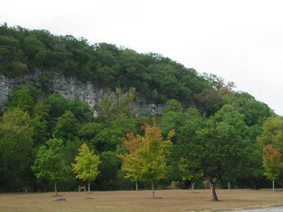 picnicarea_500x376.jpg