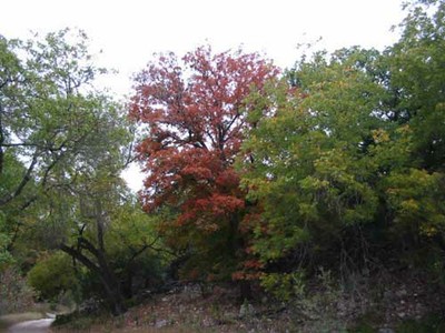 cancreek2_500x375.jpg