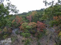 cancreek_200x150.jpg