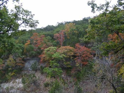 cancreek_500x375.jpg