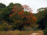 easttrail_200x150.jpg