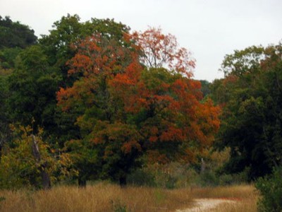 easttrail_500x375.jpg