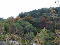 mapletrail2_200x150.jpg