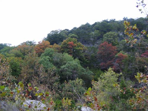 mapletrail2_500x375.jpg