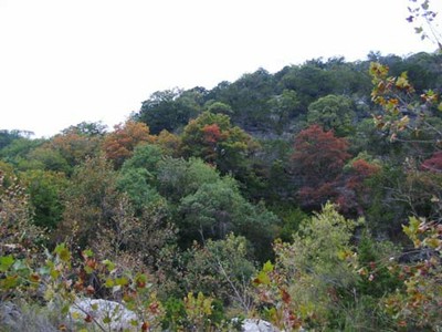 mapletrail2_500x375.jpg