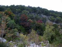 mapletrail3_200x150.jpg