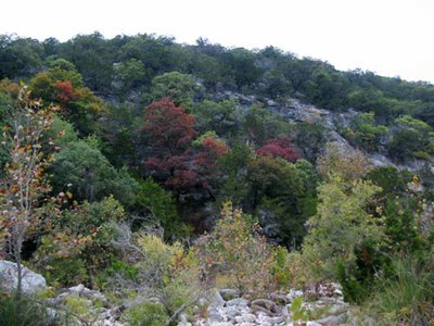 mapletrail3_500x375.jpg