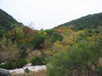 mapletrail_200x150.jpg