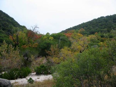 mapletrail_500x374.jpg