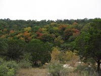 sabinalriver2_200x150.jpg
