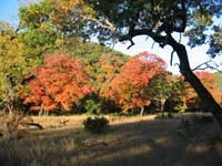 cancreek_200x150.jpg