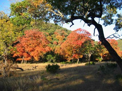 cancreek_500x375.jpg
