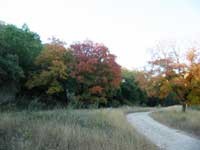 mapletrail_02_200x150.jpg