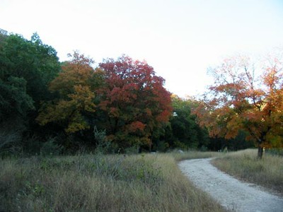 mapletrail_02_500x375.jpg