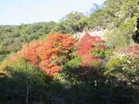 mapletrail_200x150.jpg