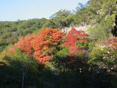 mapletrail_500x375.jpg