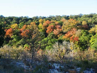 sabinalriver_2_500x375.jpg