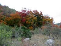 easttrail_03_200x150.jpg