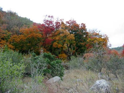 easttrail_03_500x375.jpg