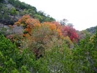 mapletrail_02_200x150.jpg