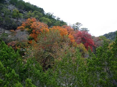 mapletrail_02_500x375.jpg