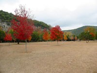 picnicarea_200x150.jpg
