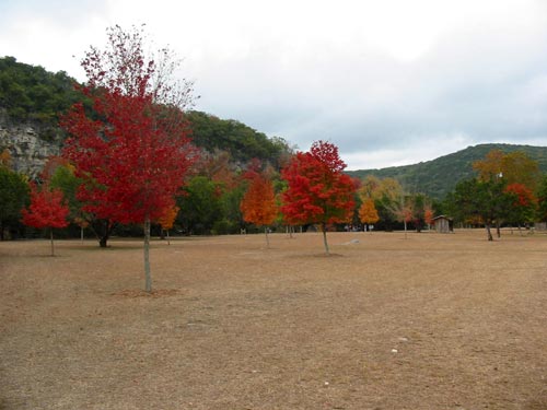 picnicarea_500x375.jpg