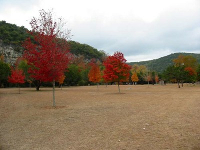 picnicarea_500x375.jpg