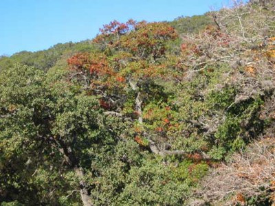 campground_c_500x375.jpg