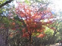 east_trail_2_200x150.jpg