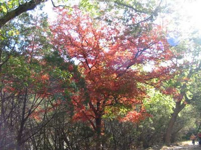east_trail_2_500x375.jpg