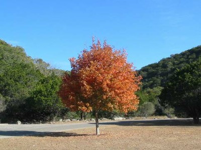 picnic_area_363x485.jpg