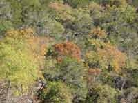 west_trail_01_200x150.jpg